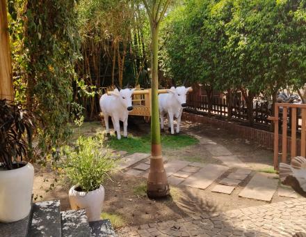 The Psychology of Nature Stays: Why Green Surroundings Make Us Feel Happier | Travel General Hotel Booking Resort | #Top10ResortInIndore #JungleResortNearIndore #BestResortsIndore