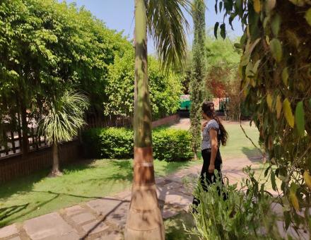 Why Families Are Choosing Nature Resorts Over City Hotels | Nature Nest Hotel & Resort